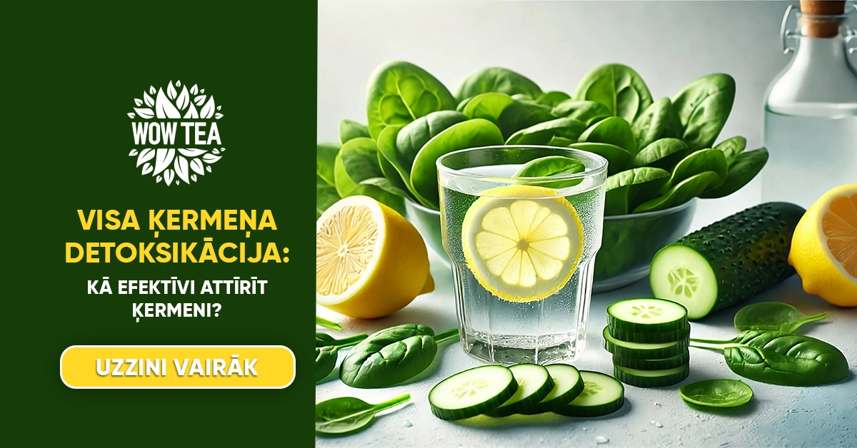 Blog | blog wowtea detoxify your organism 1.webp LV