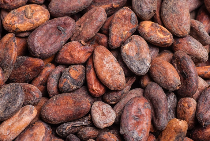 Cocoa Wellness Infusion Drops | WOW Tea Latvia š±š» cocoa.webp