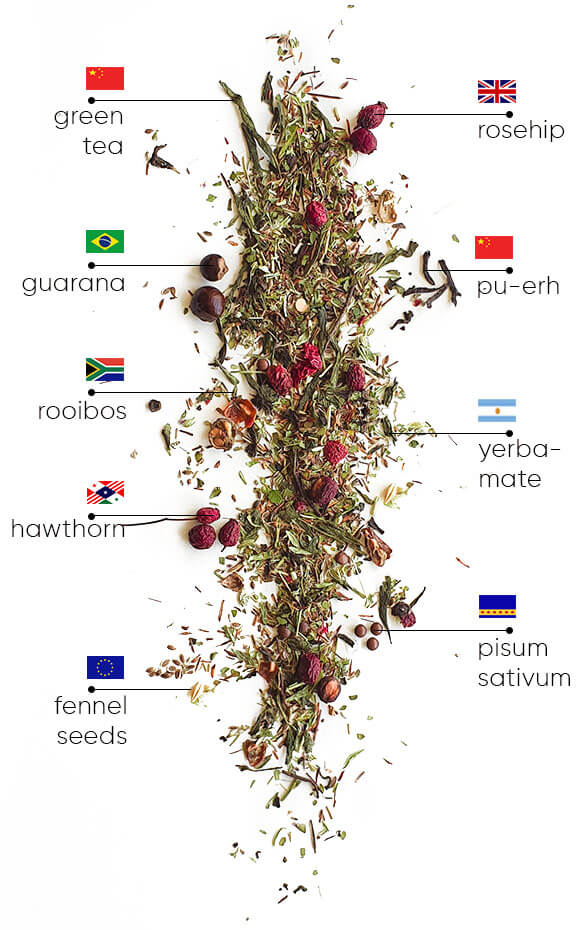 Detox Tēja | WOW Tea Latvia 🇱🇻 Detox Tēja | ingredients 1