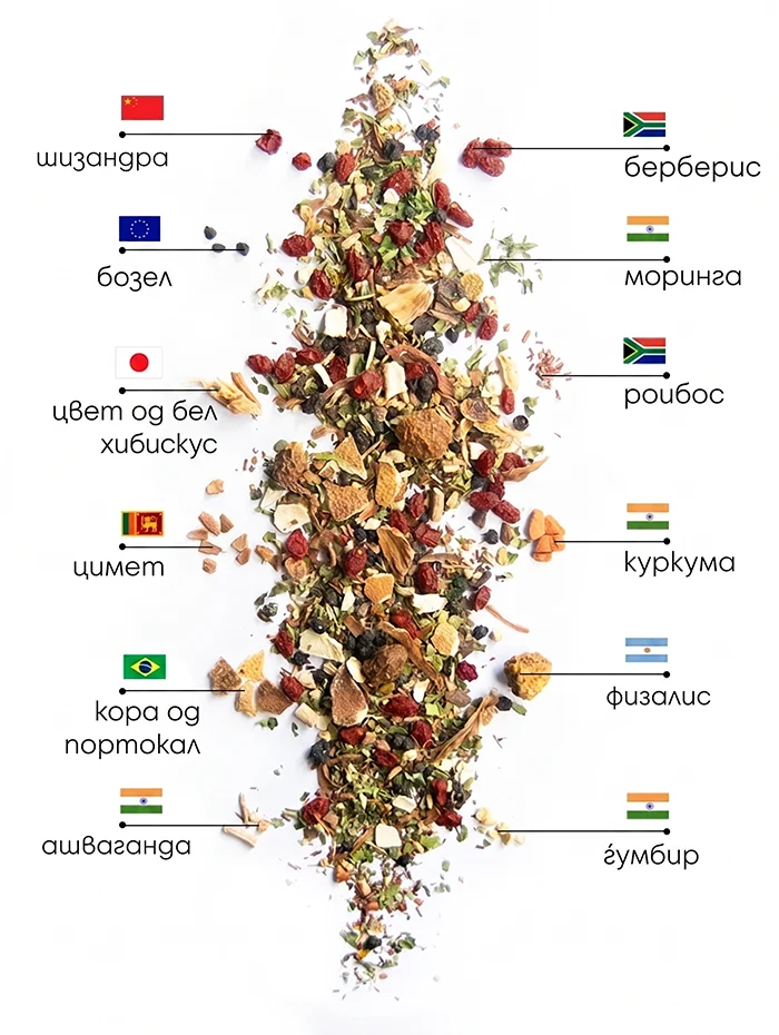 Berry Wellness чај | WOWTEA WEB Berry Wellness PP ingredients MK copy
