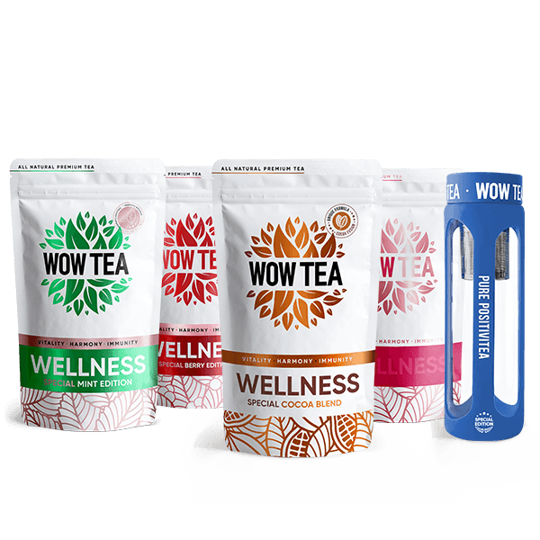 Wellness Discovery + | Black Friday Exclusive bundles wellness discovery