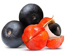Ingredients Guarana