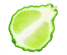 Ingredients bergamot
