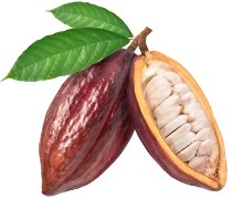 Ingredients Cocoa