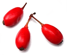 Ingredients goji berry