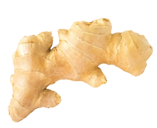 Ingredients Ginger