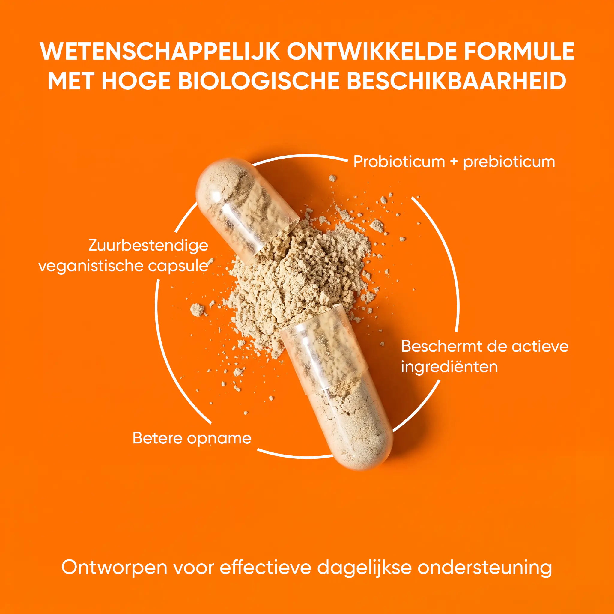 wow-tea-web-slimbiotic-gallery-banner-6-NL Alright Slimbiotic | wow tea web slimbiotic gallery banner 6 NL