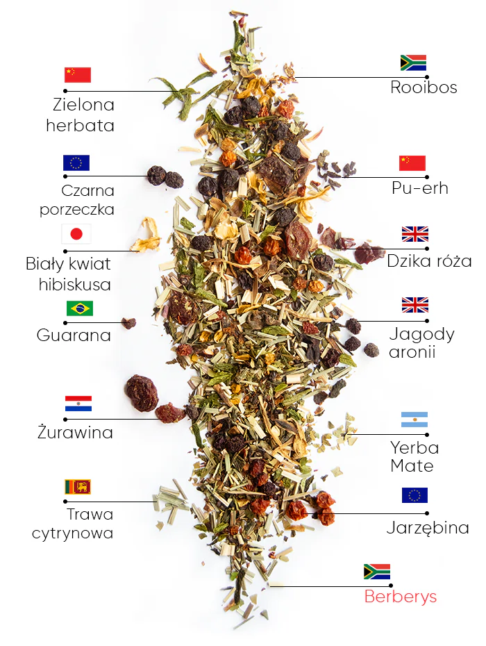 Berry Detox Herbata | wow tea berry detox ingredients D PL