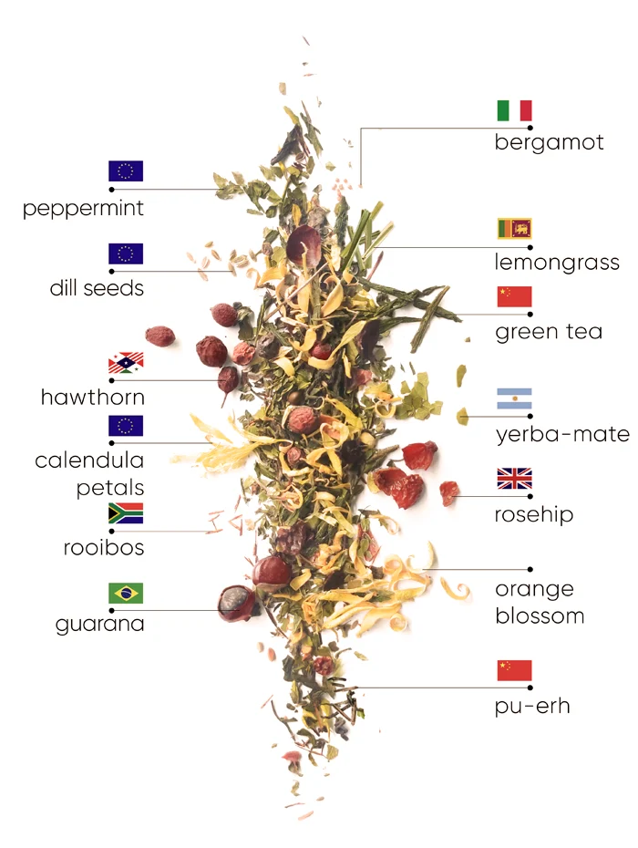 Mint Detox Herbata | WOW TEA Polska 🇵🇱 Mint Detox Herbata | detox mint ingredients D