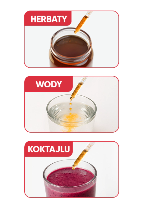 Berry Slimfit Infusion Drops | wowtea web infusion drops slimfit berry pp preparation m PL