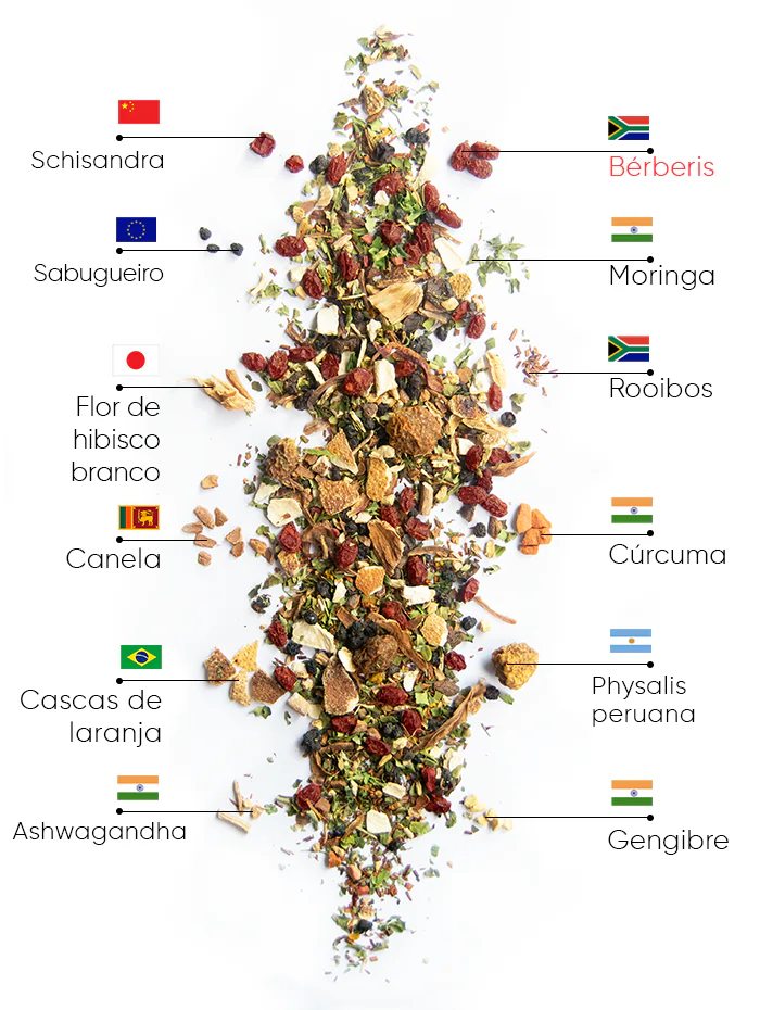 Chá Berry Wellness | wow tea berry wellness ingredients D PT