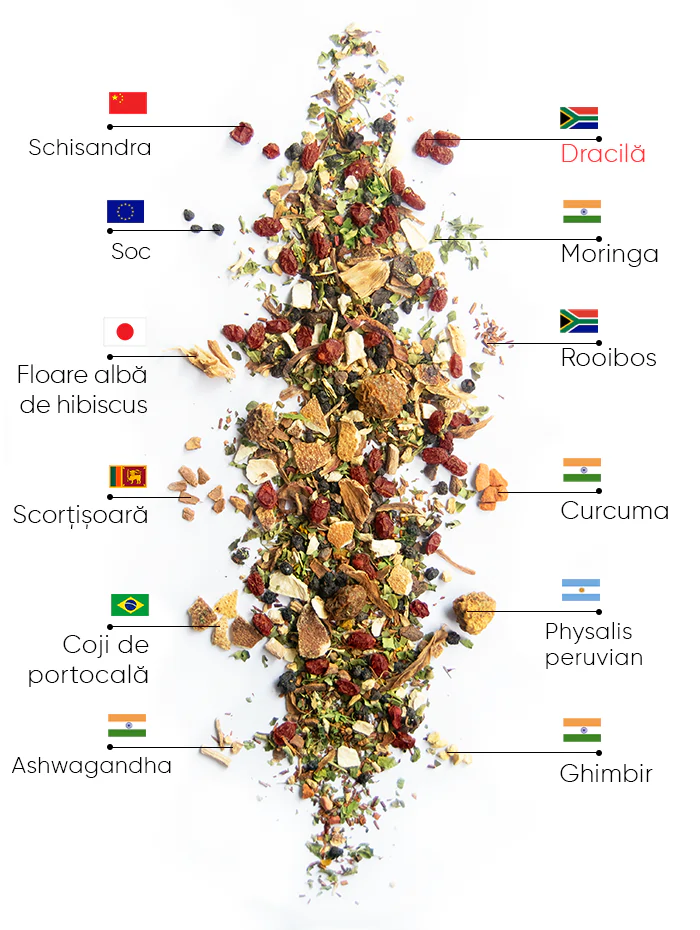 Berry Wellness Ceai | wow tea berry wellness ingredients D RO