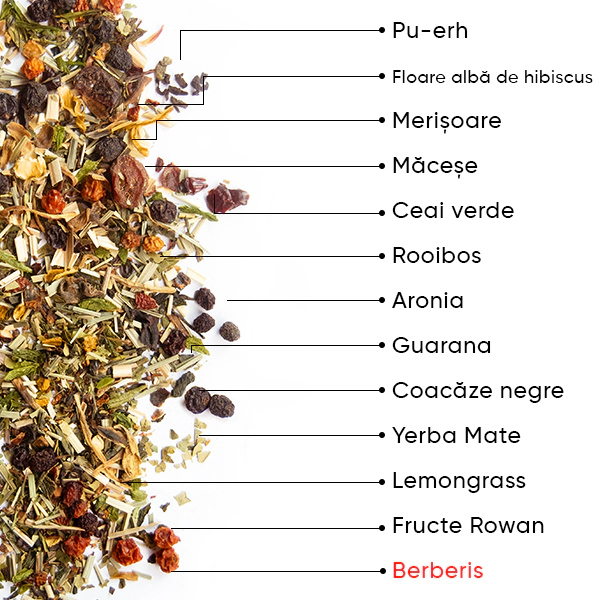 Berry Detox Ceai | WOW TEA WEB Berry Detox PP Gallery 04 RO