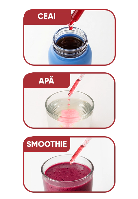 Berry Wellness Infusiоn Drops | wowtea web infusion drops wellness berry pp preparation m RO