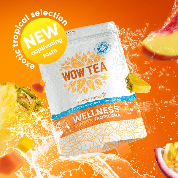 Wellness Discovery | WOWTEA WEB Summer editions Wellness Gallery 7