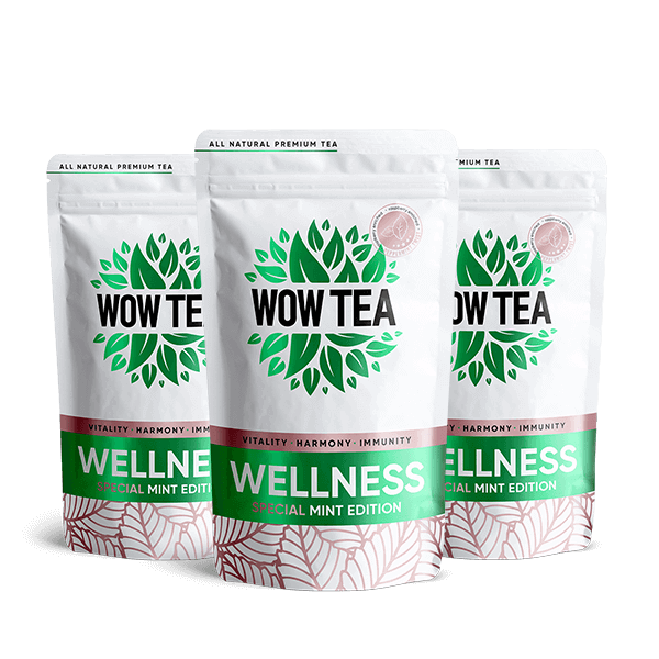 Mint Wellness na 2 mesiace