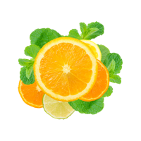 Test Index 2 | orange 001