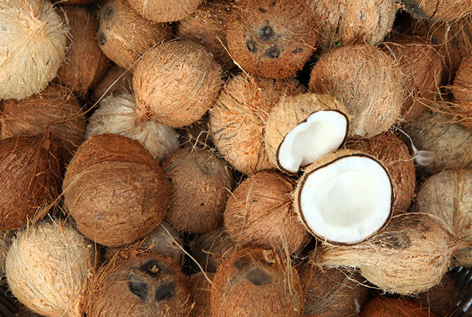 coconut