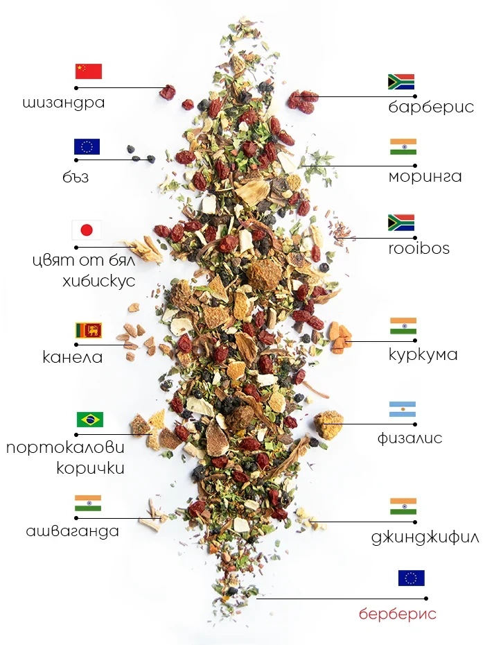 Berry Wellness Чай | WOWTEA WEB Berry Wellness PP ingredients BG 1