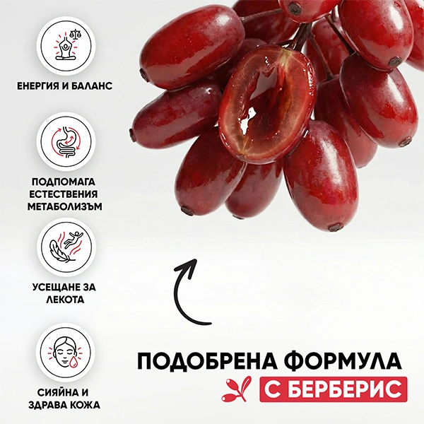 Berry Wellness Чай | gallery berberis wellness