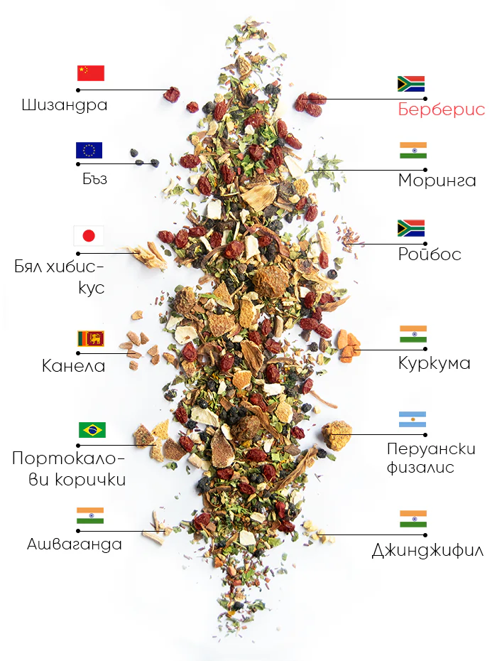 Berry Wellness Чай | wow tea berry wellness ingredients D BG