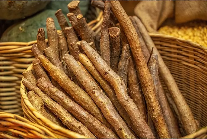 burdock-root