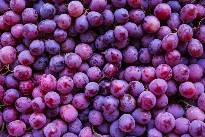 export-detox-classic-ingredients-14