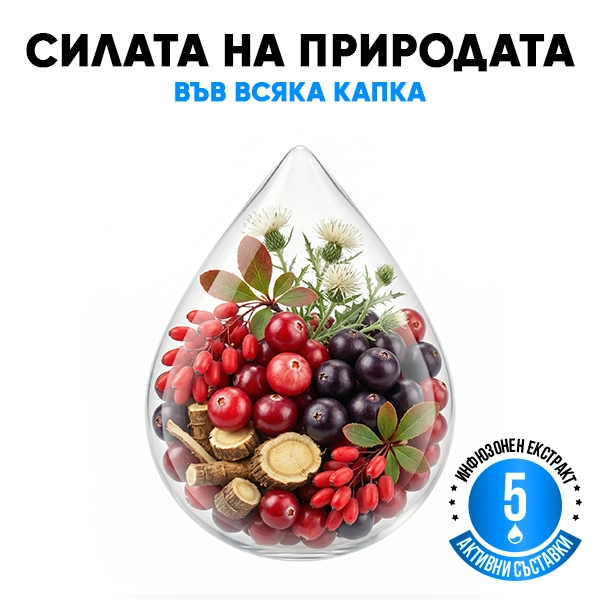 Berry Detox Infusiоn Капки | WOWTEA Detox Berry Infusion Drops PP Gallery 4a