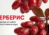 Берберис – рестартът, от който тялото ти има нужда