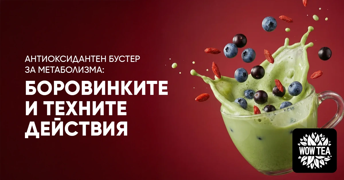 Боровинки в зелен смути – антиоксидантен бустер за метаболизма и естествен източник на полезни вещества.