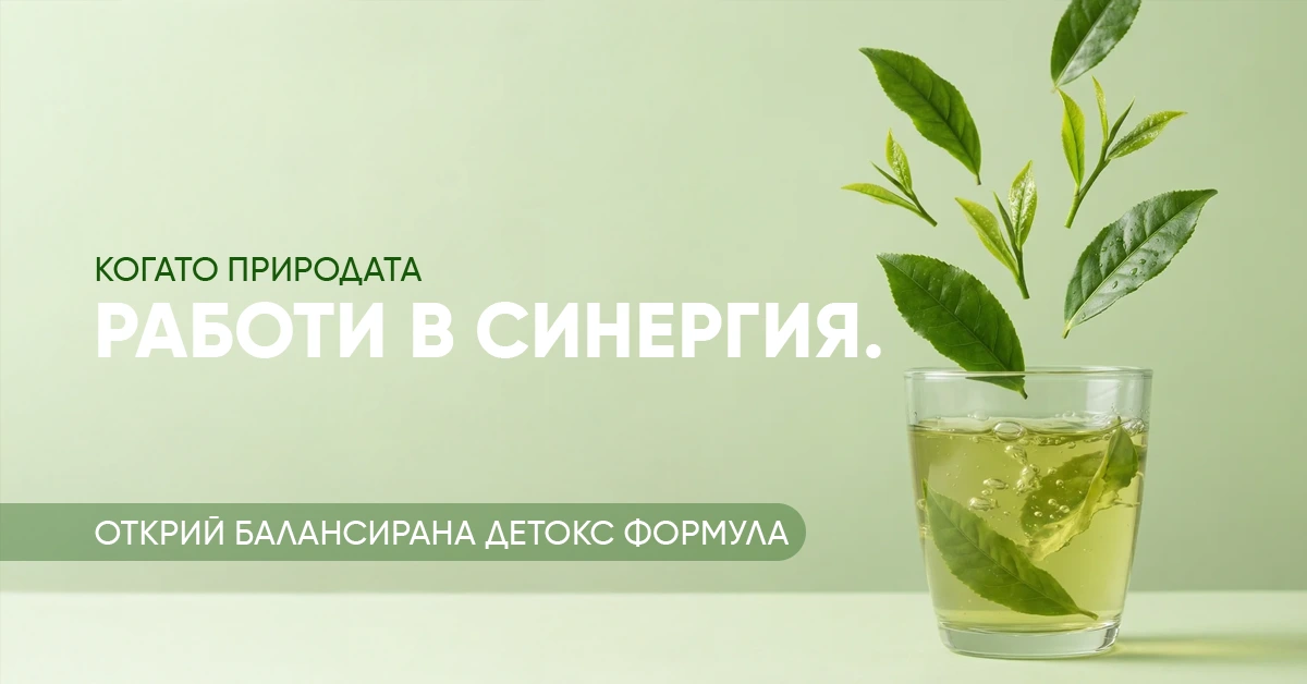 Синергия за тонус и активен метаболизъм: Как сенча и йерба мате работят заедно? | wowtea blog sencha yerba banner 3
