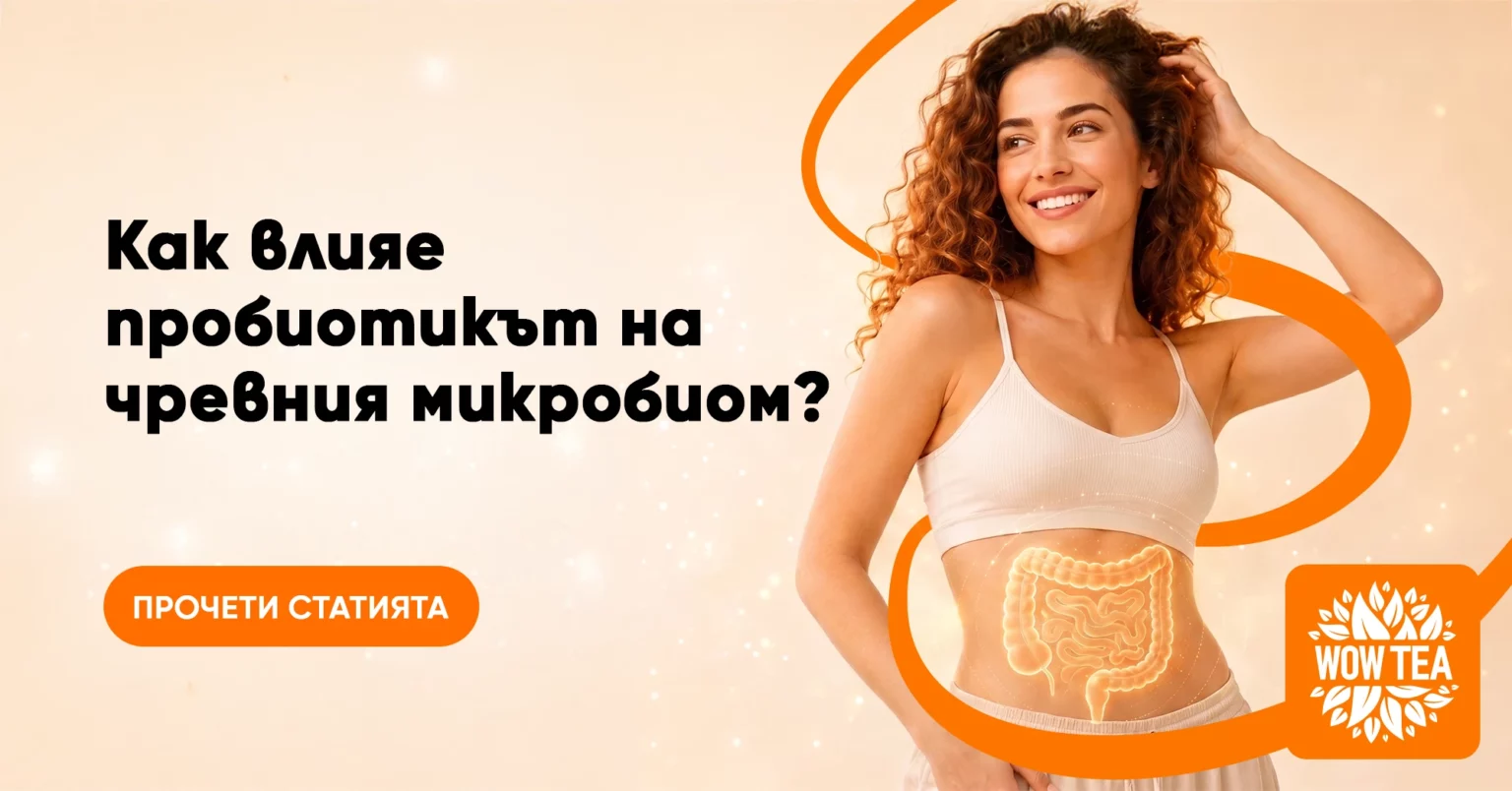 Blog | WOW TEA 🇧🇬 Blog | wowtea blog slimbiotic 1