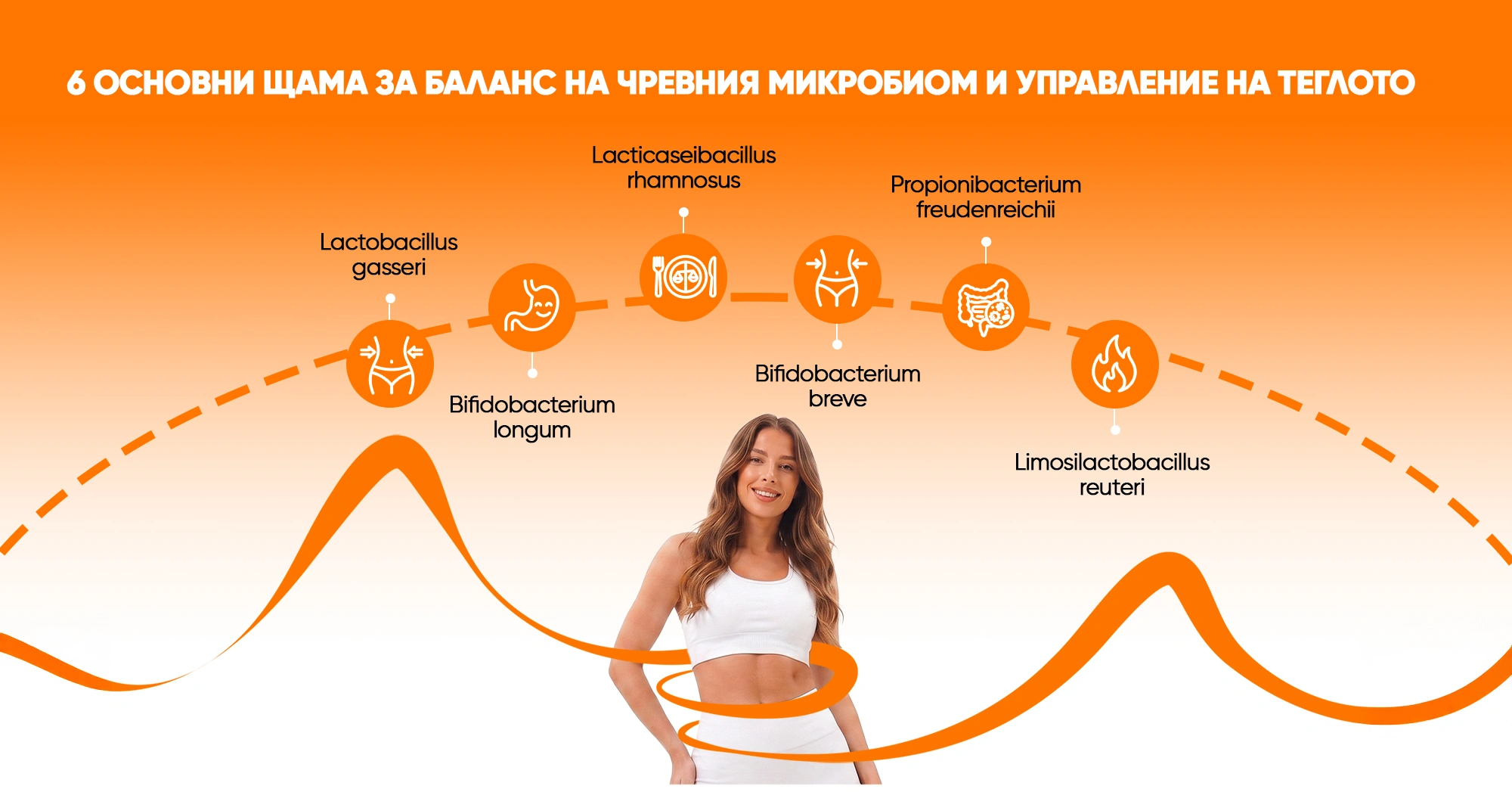 Как пробиотикът влияе на чревния микробиом? | WOW TEA 🇧🇬 Как пробиотикът влияе на чревния микробиом? | wowtea blog slimbiotic 3